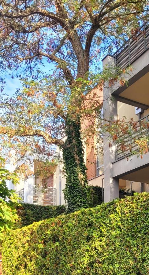 Apartament Wyspa, 2 Pokoje, Parking Gratis Międzywodzie Exterior foto